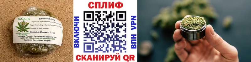 Canna-Cookies марихуана  Купить закладки  Кулебаки 
