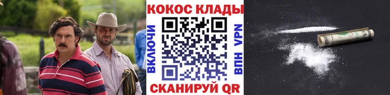Купить Кулебаки Cocaine Fish Scale