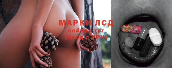 соль ск Богданович