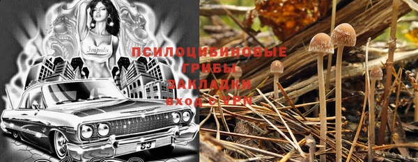 соль ск Богданович