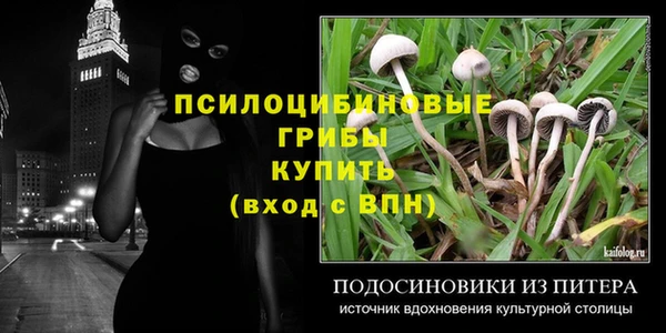 МДМА Богородицк